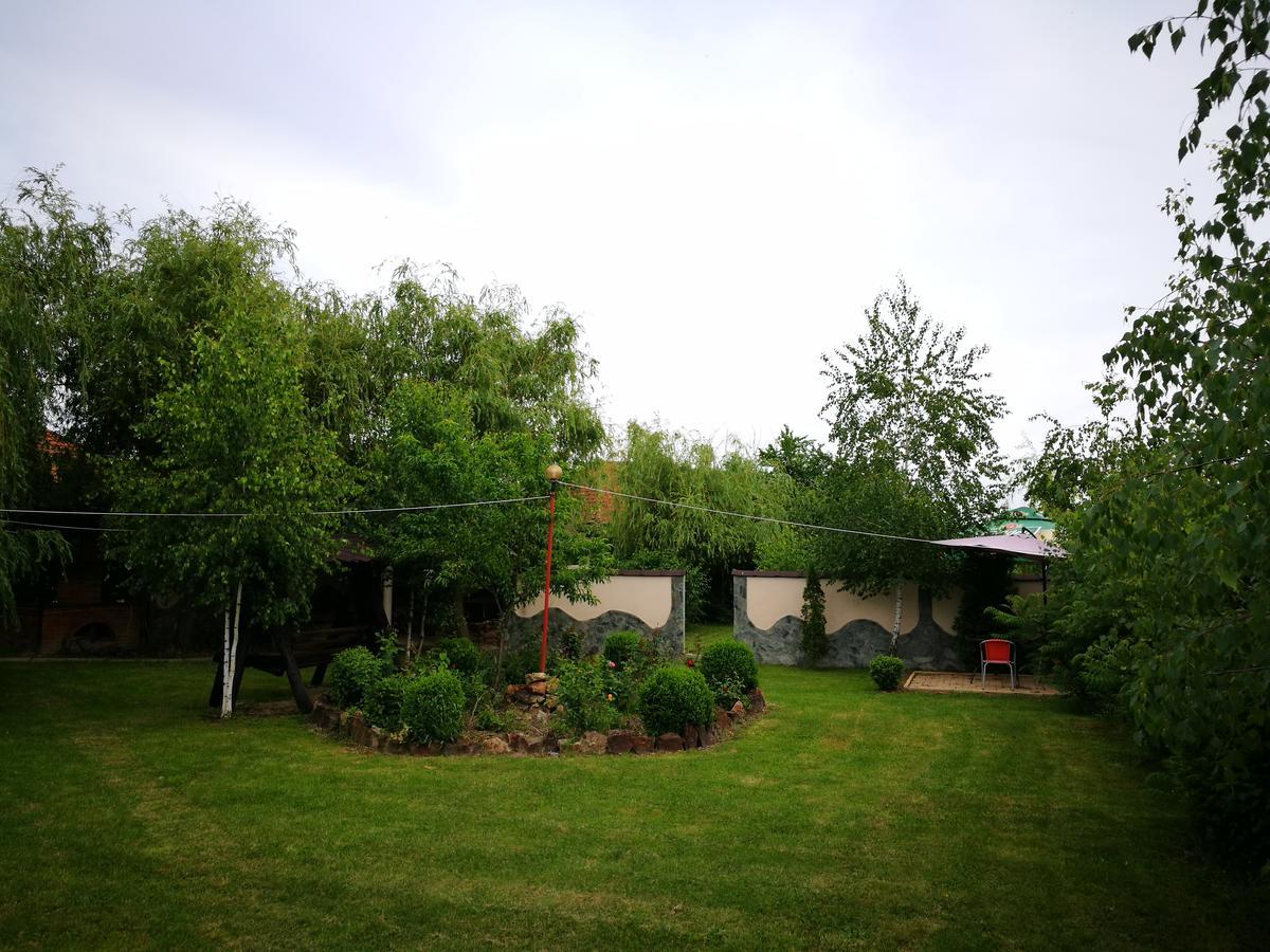 Pensiunea Ramona Cărpinişu Exterior foto